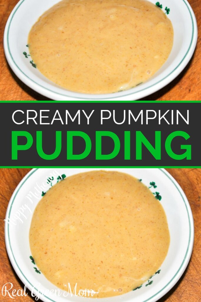 Two bowls of homemade pumpkin pudding on a kitchen cutting board