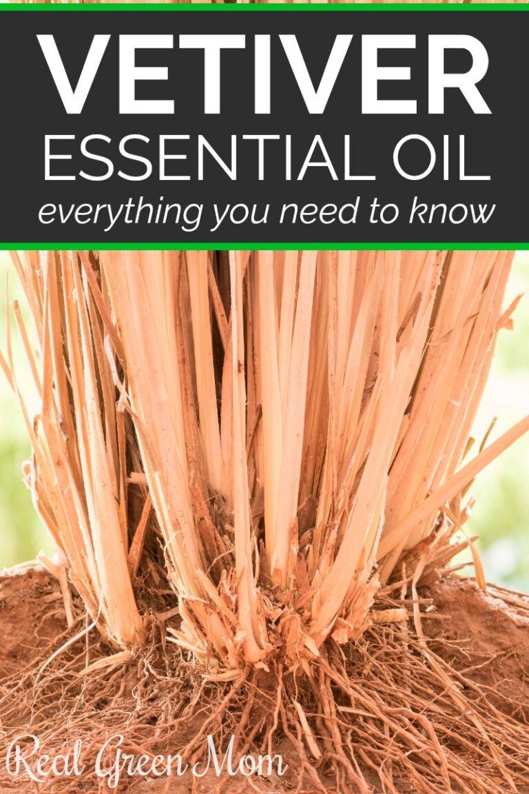 Vetiver Essential Oil Why You Need It! Happy Mothering