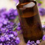 Close up of bottle of lavender essential oil surrounded by purple flowers