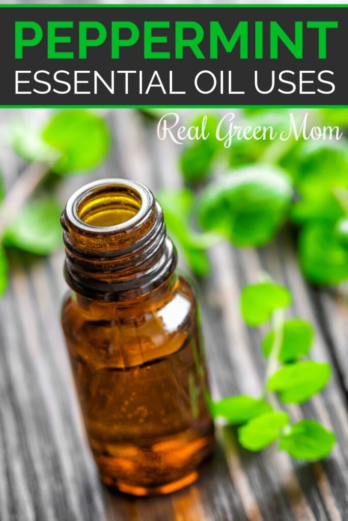 Bottle of peppermint essential oil on table with fresh mint