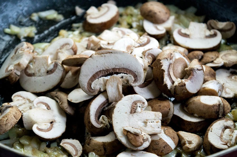 Mushrooms, onion and butter in a pan
